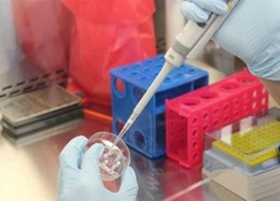 افزایش دقت شناسایی انواع مختلف ویروس کرونا با کیت های دانش بنیان ایرانی